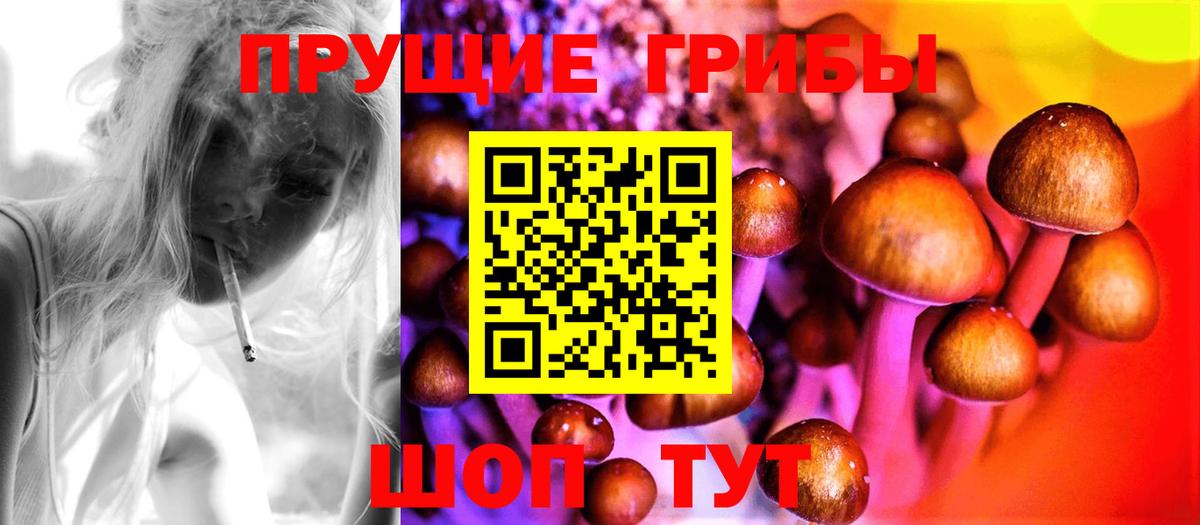 Абакан  Псилоцибиновые грибы Psilocybe  Вход с VPN 